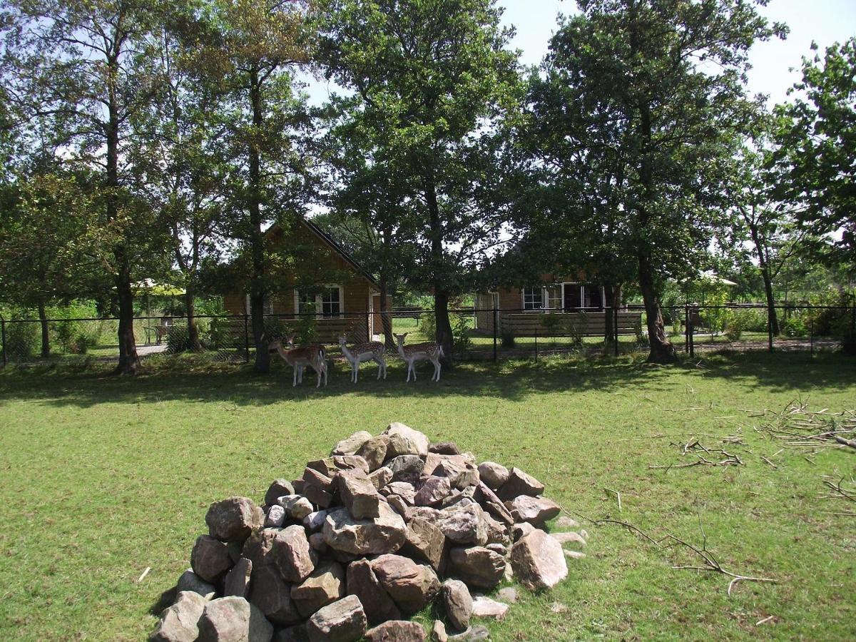 Vakantiehuisjes Landgoed Sonneborghe Kollumerzwaag Ngoại thất bức ảnh