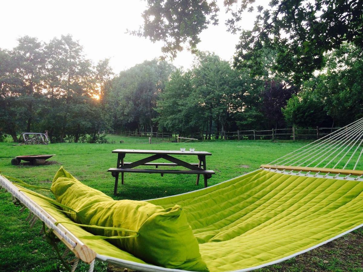 Vakantiehuisjes Landgoed Sonneborghe Kollumerzwaag Ngoại thất bức ảnh