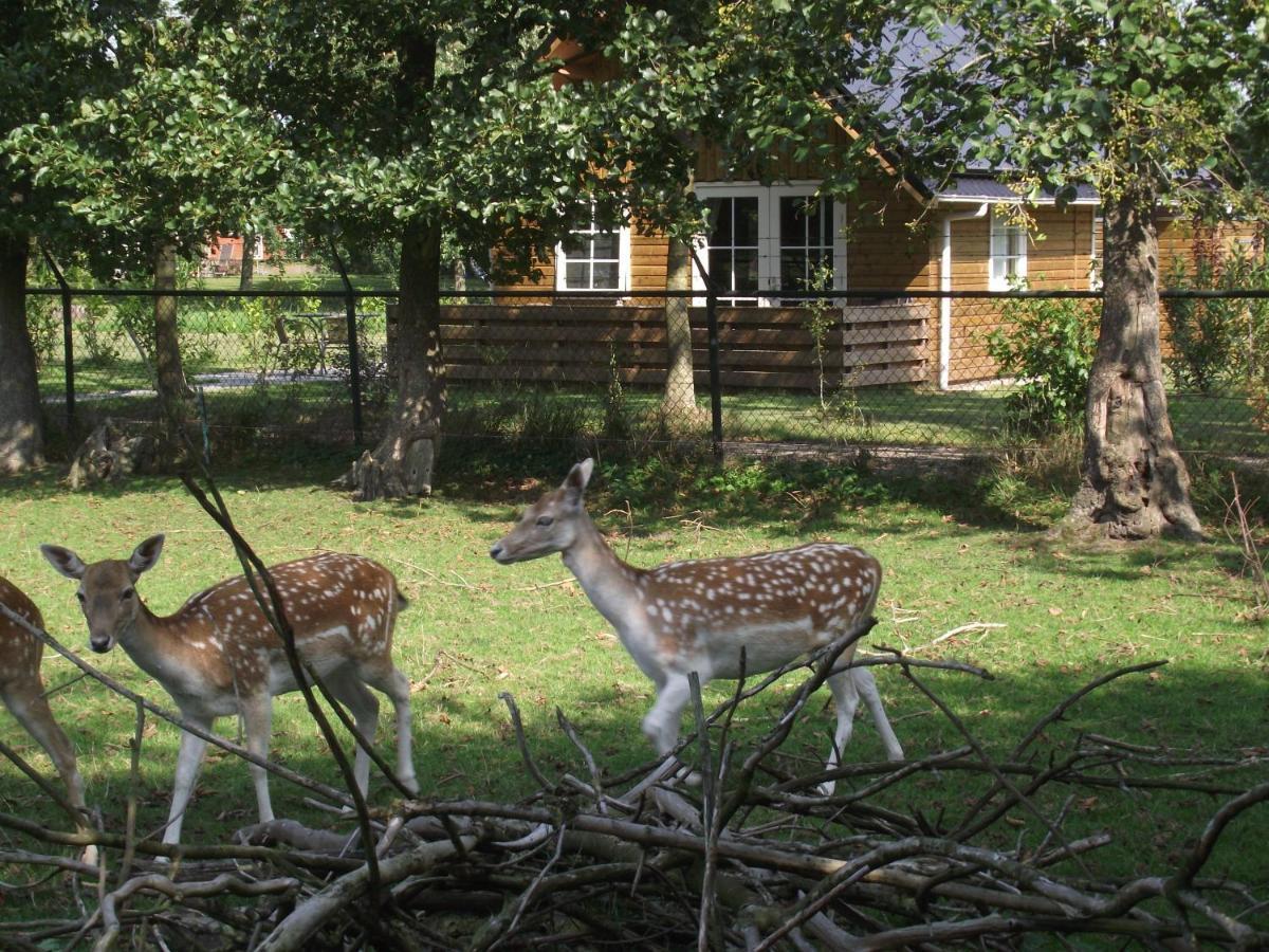 Vakantiehuisjes Landgoed Sonneborghe Kollumerzwaag Ngoại thất bức ảnh